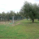 P1050084