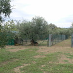 P1050121